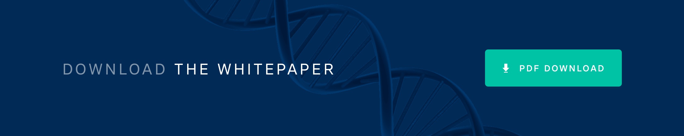 Download the AMP Whitepaper